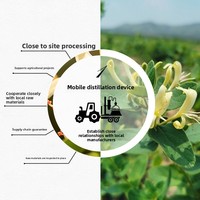 Minyak Esensial Honeysuckle Organik Berkualitas Tinggi Supercritical Aromaterapi Bahan Baku Perawatan Kulit Minyak Esensial Murni China OEM/ODM