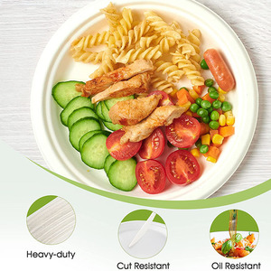 Ensemble d'assiettes en papier bagasse canne à sucre jetables écologiques assiettes compostables ustensiles pour barbecue camping vaisselle biodégradable - Product Image 4
