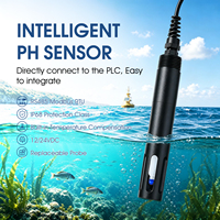 Capteur de pH en ligne RS485 Modbus avec sonde de pH étanche IP68 pour le traitement des eaux usées et la surveillance des eaux océaniques