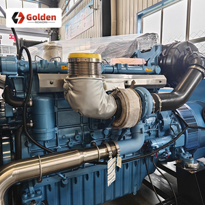 Grupos electrógenos para hospitales, ferrocarriles, aeropuertos, centros de datos, grandes fábricas, plantas de energía con 800kw, 1000kw, 1500kw, grupos electrógenos - Product Image 2