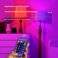 Ampoule LED Intelligente Économe en Énergie RGB Globe 9W Télécommandée à Changement de Couleur 2700K Blanc Chaud Lumière d'Ambiance IP65