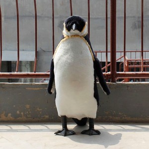 KITE KT-C0622 Realistic Life-Size Penguin Wild Animal Figurine <strong>Christmas</strong> Home Decor <strong>Window</strong> <strong>Display</strong> 70cm/85cm/100cm Ornaments - Product Image 1