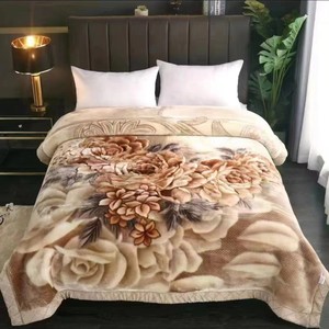 Одиночное двойное зимнее одеяло из кораллового флиса Raschel, индивидуальное осеннее одеяло для сна для общежития, утолщенное одеяло для одного - Product Image 1