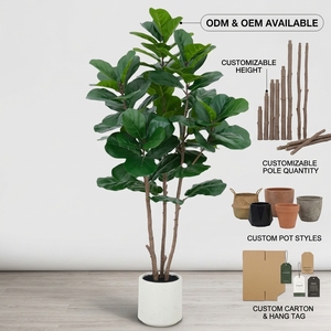 OH ARTS Ficus Lyrata Artificiale Lussureggiante in Vaso Bianco Moderno, Pianta Finta di Lusso per Arredamento Nordico - Product Image 3