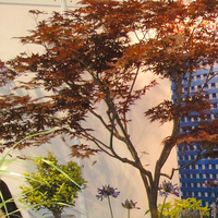Vente flash : Arbre artificiel en fibre de verre de 3,5 mètres, résistant aux UV, ignifuge, feuilles d'automne, arbre d'aménagement paysager pour l'intérieur