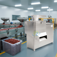 RVS gemotoriseerde dadelpasta- en pulpmachine 380V 250-500kg/u capaciteit CE/ISO gecertificeerd