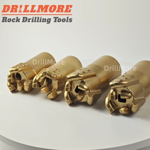 رؤوس حفر الطين PDC من DrillMore مع أداة قطع من الفولاذ المطروق لآبار المياه الإنشائية مع ضمان لمدة 3 سنوات - Product Image 5