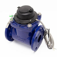 Compteurs d'eau prépayés à sortie d'impulsion DN50 & DN600 pour boire et refroidir la protection IP68 OEM personnalisable
