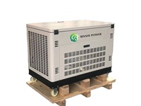 Groupes électrogènes portables silencieux AC/DC AVR double carburant 5Kw 8Kw 10Kw 12KW 20Kw, alimentation de secours GPL, gaz naturel, biogaz, essence CE