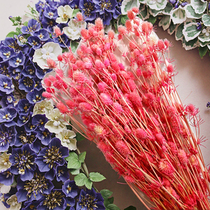 Accesorios de tiro de producción DIY, amante de las flores secas eternas, fruta, espina, apio, flores secas, Día de la madre, Navidad, respetuoso con el medio ambiente - Product Image 5