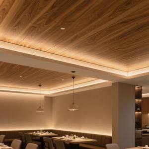 Алюминиевые потолочные панели на заказ, современная система потолков, экологичные, с 2-летней гарантией, огнеупорные, водонепроницаемые, для коммерческих интерьеров - Product Image 3