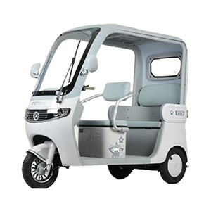 Tricycle électrique pour adultes Metropolis à toit ouvert avec pare-soleil, moteur 650W, batterie 48V, 3 places, écran intelligent double 8 pouces - Product Image 1