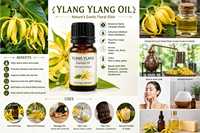 Minyak Ylang Ylang Murni Ekstrak Bunga Botani untuk Pijat Aromaterapi Aplikasi Rambut Kulit Parfum dan Formula Kecantikan
