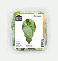 Emballage jetable de légumes de boîte en plastique à clapet transparent d'ANIMAL FAMILIER pour la laitue d'herbe de salade