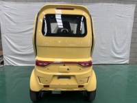 Voiture électrique compacte L6e EEC pour usage familial, véhicule à faible vitesse, nouvelle énergie, mini-voiture 3 places automatique, couleur unie.