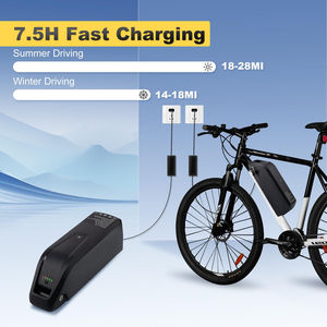 Batterie de vélo électrique EU 48V Polly, pack de batteries 48V 15Ah 17.5Ah 20Ah, batterie lithium-ion pour moteur 500W 1000W - Product Image 5