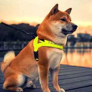2021屋外用の人気の反射犬ハーネスナイロンペットベルト