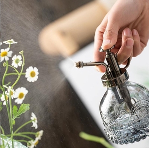 Bottiglia di <span class=keywords><strong>vetro</strong></span> caldo grilletto spray <span class=keywords><strong>acqua</strong></span> casa la bottiglia di fiori - Product Image 5