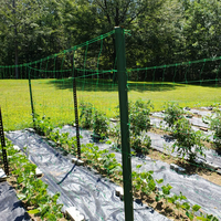 Filet de treillis en plastique robuste de marque VIVA pour plantes grimpantes, découpe sur mesure pour tomates, concombres, fleurs et légumes