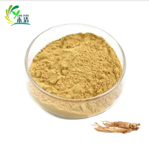 Высококачественный натуральный экстракт женьшеня (<span class=keywords><strong>Panax</strong></span> Ginseng) в порошке, 20% гинзенозидов, в барабанной упаковке, оптом от производителя, хит продаж - Product Image 3