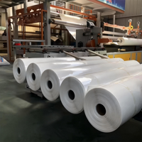 Rouleau de film PVC sur mesure pour usage industriel, écologique, haute résistance, imperméable, feutre de toiture résistant aux UV, protection des toitures de bâtiments