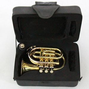 Trompeta de Bolsillo Económica de Buena Calidad, Instrumento Musical con Cuerpo de Latón <span class=keywords><strong>y</strong></span> Acabado Lacado en Oro - Product Image 5