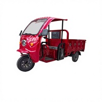 Tricycle électrique ouvert personnalisé >1000W 60V, étanche, passagers-marchandises, camionnette à 3 roues, 200-300 kg