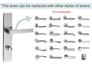 Tay nắm cửa bằng thép không gỉ 304 chất lượng cao, tùy chỉnh, kiểu OEM, có tấm lưng dài - Product Image 4