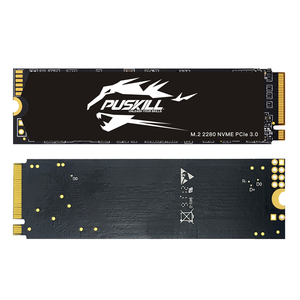 สำหรับคอมพิวเตอร์เกม NVMe M.2 2280 Gen3.0 SSD 256GB ปรับแต่งความเร็วสูงและราคาดีจากโรงงาน puskill - Product Image 2