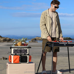 Chauffage électrique <span class=keywords><strong>Prix</strong></span> de gros Livraison Sac à dos Imperméable Réchauffeur électrique Sacs isothermes Réfrigérateur de voiture - Product Image 6