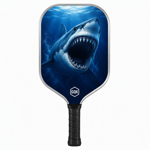 Ensemble de raquettes de pickleball en fibre de verre pour entraînement de niveau intermédiaire, idéal pour la pratique et le développement des compétences, pour hommes, femmes et débutants - Product Image 3