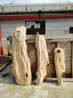 Sculpture en bois flotté naturel Maison Hôtel Villa Décoration Bois flotté Art en bois Statue Sculpture