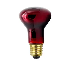 Red reptil Light R63 100W/150W untuk menenangkan otot mereka dan meringankan rasa sakit