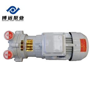 Pompe à vide à anneau liquide/eau horizontale BOYUAN 2BV2061, haute performance, économie d'énergie, personnalisable OEM, moteur triphasé - Product Image 2