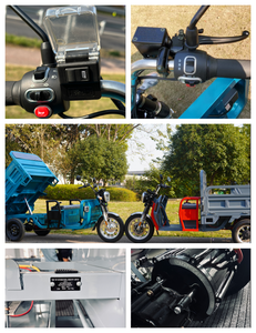 Nuevo Producto 2026 en Existencia en la UE, Triciclo Eléctrico de Carga de 45 km/h, Aprobado por EEC COC, Carga de 1000 kg, Grúa Hidráulica de Descarga Automática - Product Image 5