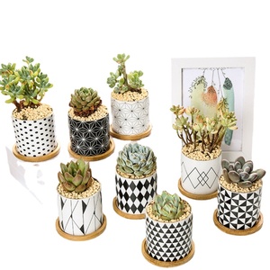 Nouveau géométrique noir et blanc succulent pot de fleur en <span class=keywords><strong>c</strong></span>éramique pot de fleur produit de <span class=keywords><strong>droit</strong></span> <span class=keywords><strong>d</strong></span>'<span class=keywords><strong>auteur</strong></span> bassin en <span class=keywords><strong>c</strong></span>éramique - Product Image 2