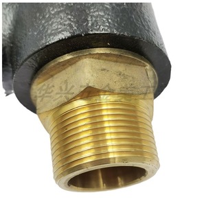 A28W-16T วาล์วนิรภัยแบบยกเต็มที่พร้อมสปริง แบบเกลียว 16 บาร์ สำหรับใช้งานกับลมและน้ำมัน - Product Image 3