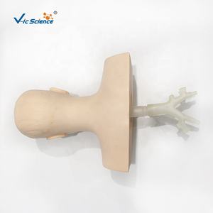 Model Kepala Manekin untuk Pelatihan Hisap, Simulator Manekin untuk Pelatihan Medis - Product Image 2
