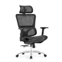 Chaise ergonomique en maille de l'usine de Foshan avec appuie-tête 2D, dossier entièrement réglable en hauteur, accoudoirs 3D avec coussinets en PU souple