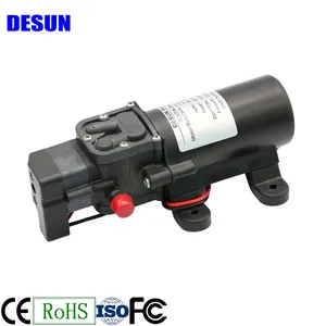 DESUN Agricultura Diafragma Bombas 12V 24V DC Pequeno Motor Elétrico Pulverizador De Água Auto Priming Bomba De Água