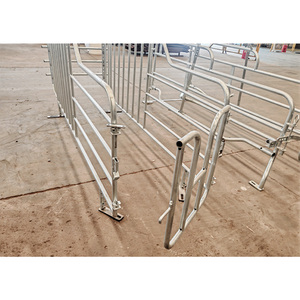 Cajón de gestación de cerdas fácil de limpiar ácido de tamaño personalizado - Product Image 5