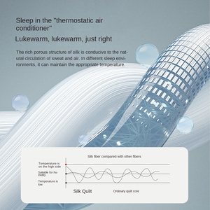 Edredón de Seda de Morera Doble de la Familia Hefang, Seda de Capullo de Seda Antiácaros, Jacquard, Cuatro Estaciones, Seda Larga, Algodón, Edredón Superior de la Parte Continental - Product Image 4