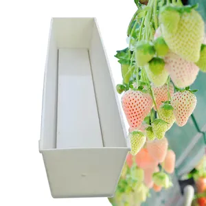Vertical indoor hydroponic growing system NFT strawberry gutter with drainboard for growing strawberry/tomato/cucumber