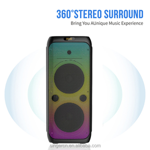 Zqs10208 boombox כפול 10 אינץ 'רמקול מפעל ישיר למכור רמקול גדול נטענת עם 2 מיקרופון אלחוטי - Product Image 2