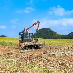 บริษัทซูโวล รับขนส่งอ้อย/ไม้ ขนส่งอ้อยได้ 100 ตันในหนึ่งวัน - Product Image 2