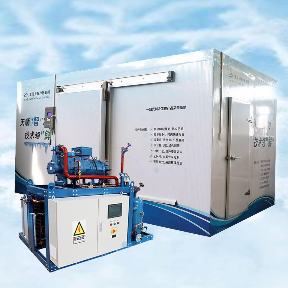 Eco-friendly Ammonia Refrigeration for Industrial Storage