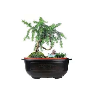 Vaso di paesaggio ovale con decorazione d'interni a basso costo multi-formato ispessito vita alta che pianta un vaso di plastica ovale bonsai - Product Image 6