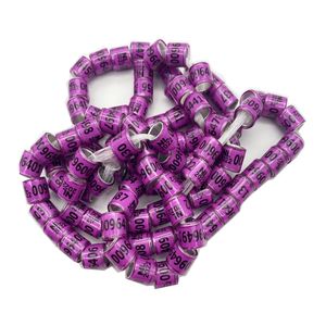 Bijoux de pied de Pigeon en argent <span class=keywords><strong>2022</strong></span>, boucles d'oreilles avec mot, anneau de course Durable de qualité, outil d'entraînement pour les oiseaux - Product Image 3