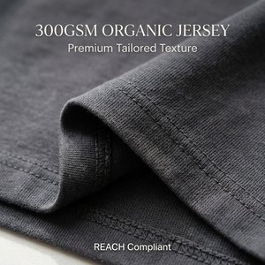 Custom Logo 300GSM Organic Cotton <strong>Shorts</strong> <strong>Slim</strong> <strong>Fit</strong> 5 Inch Inseam <strong>UK</strong> Streetwear Wholesale OEM Small MOQ 50pcs Fast Delivery Eco - Product Image 2
