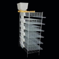 Nouvelle Cage à Cailles Commerciale en Acier Galvanisé Durable et Écologique, Conception Type H, Batterie Avicole Automatisée 6 Niveaux, Capacité 360